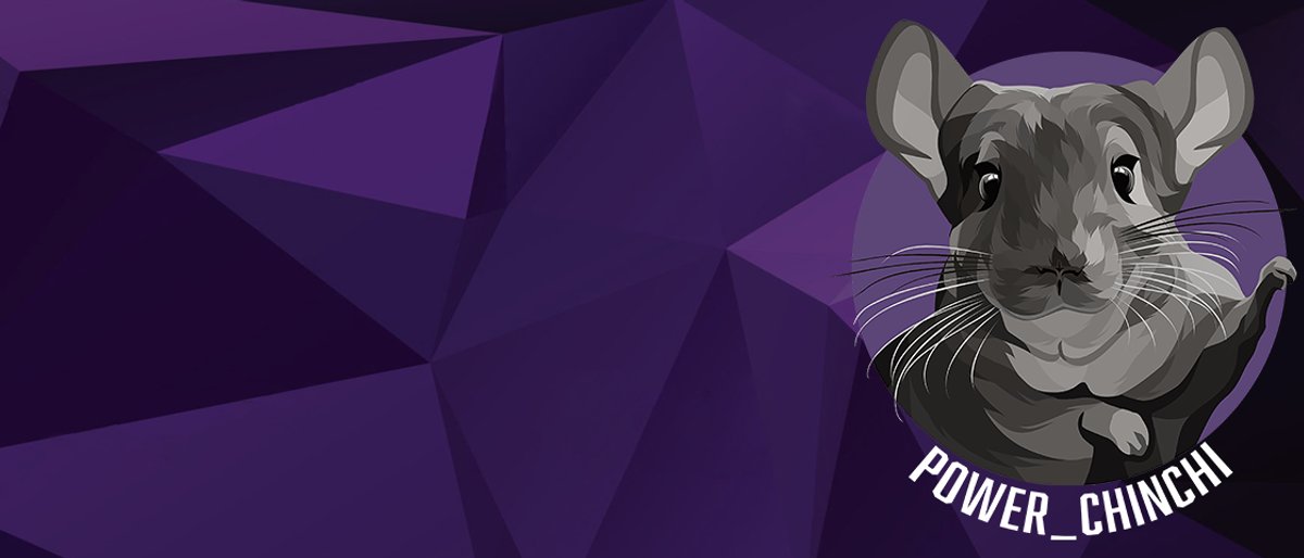 Chinchi Banner